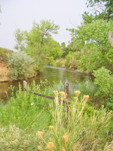 Overlooking the ditch